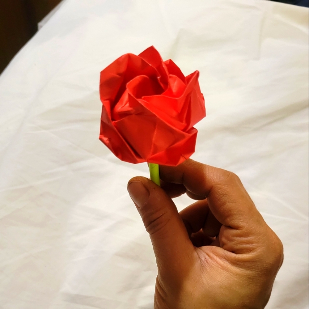 Origami everlasting rose